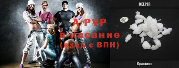 крисы Аркадак