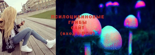 крисы Аркадак