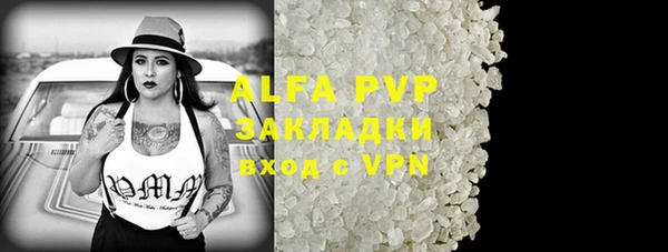 индика Саяногорск