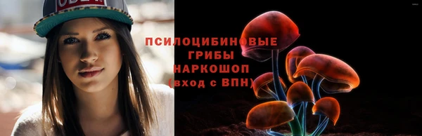 эйфоретик Арсеньев