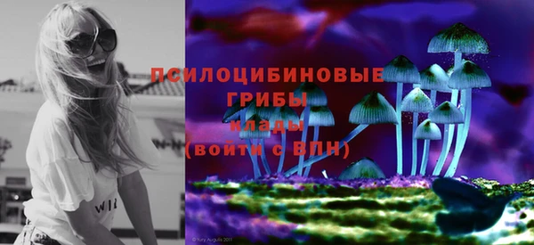крисы Аркадак