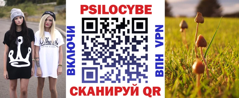 Галлюциногенные грибы Psilocybe Курильск