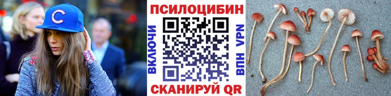 ОМГ ОМГ   Курильск  Галлюциногенные грибы мухоморы 